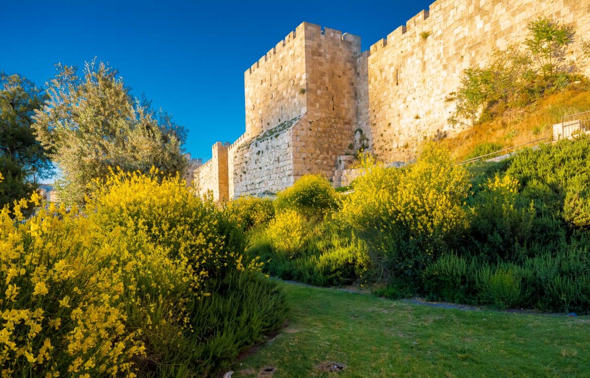 Just Another Day at Damascus Gate