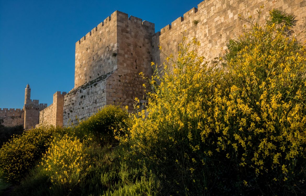 Just Another Day at Damascus Gate