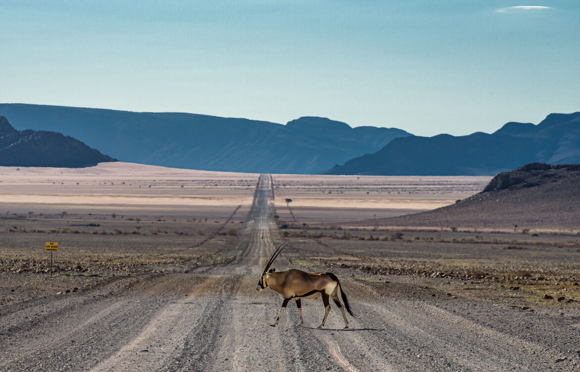 Lost in Botswana, Part 1